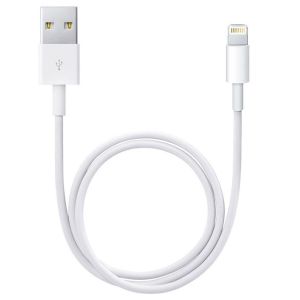 mager zwak Afwijzen Apple Lightning naar USB-kabel - 0,5 meter | Smartphonehoesjes.nl