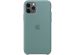 Apple Silicone Backcover iPhone 11 Pro - Cactus